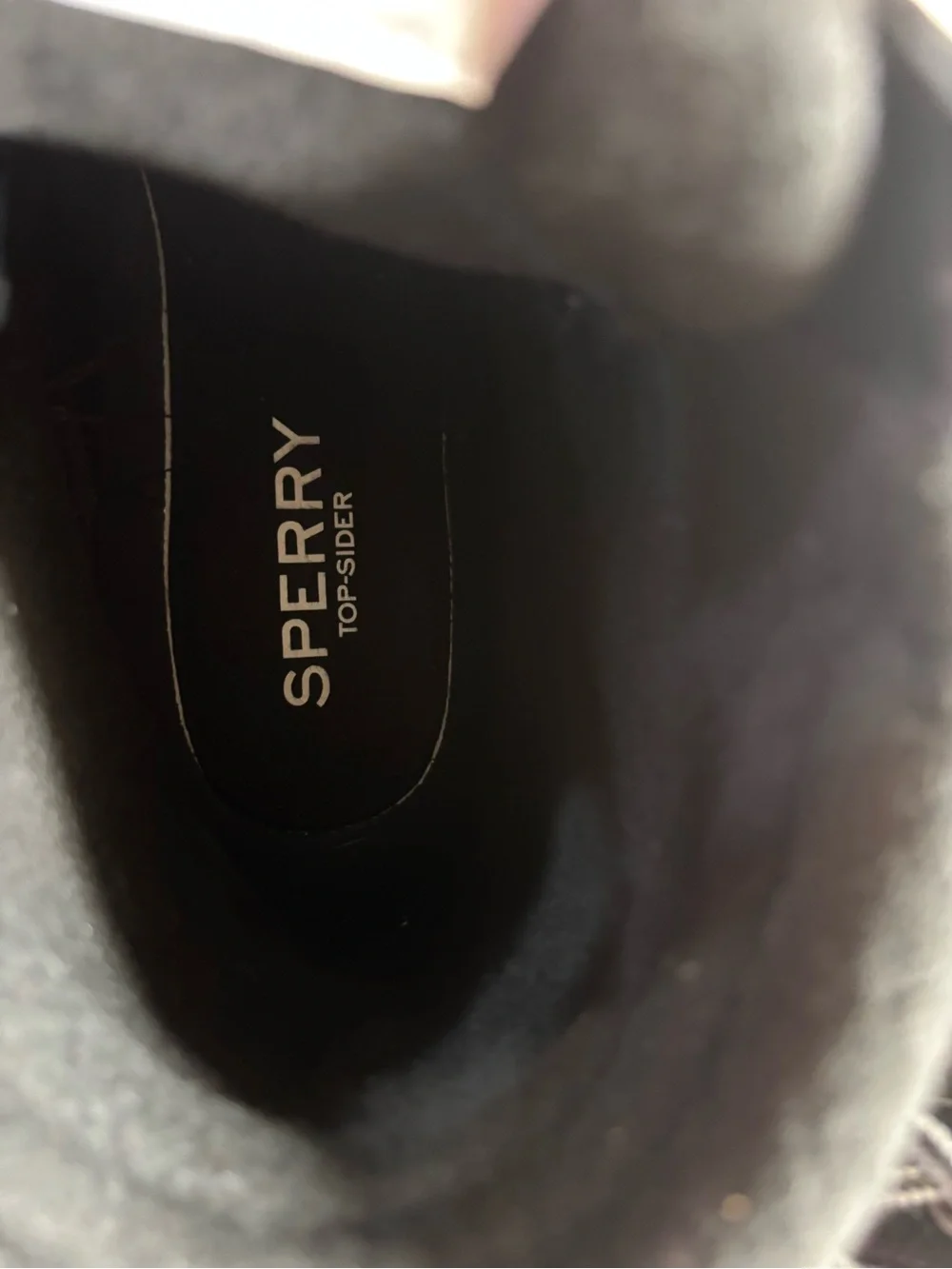 Sperry Men's Waterproof Boots